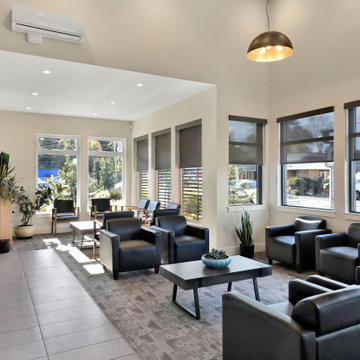 Discovery Chiropractic