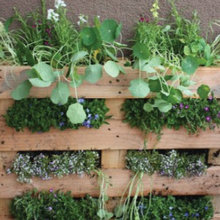 green thumb