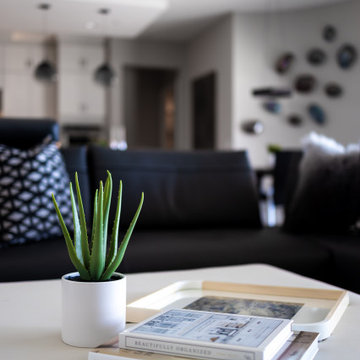 Contemporary Residential