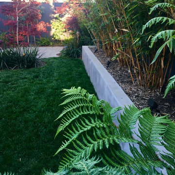 Willowhaven Cozy Oasis