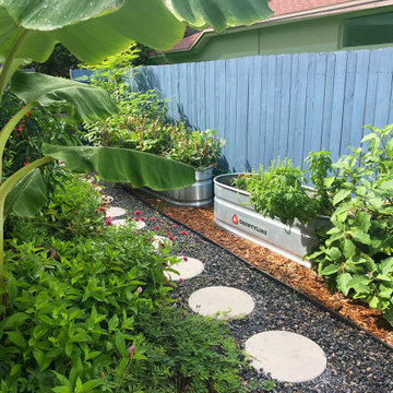 Growing Vibrant Colorful Veggies/ Raised Beds