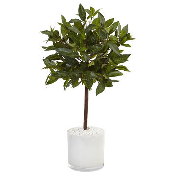 2' Sweet Bay Artificial Tree, White Glossy Cylinder