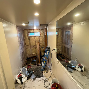 During bathroom remodeling in Bonney Lake, WA