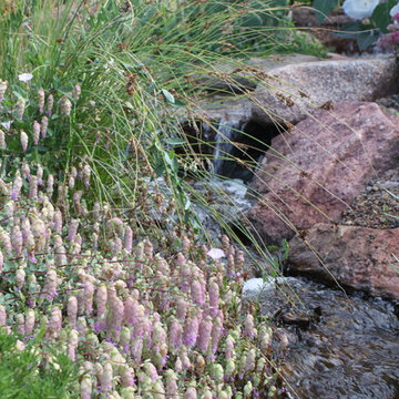 Fun, Flowers, & Food at El Rancho Calypso