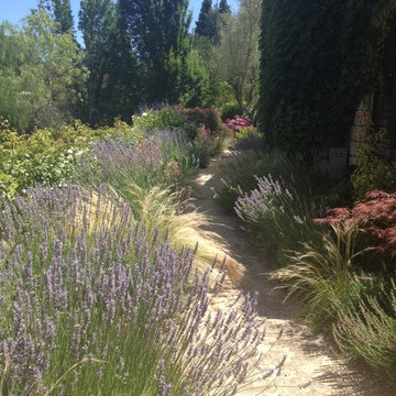 Garden Paths & Walkways