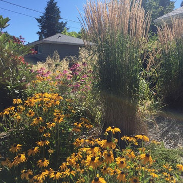 5 Senses In The Garden