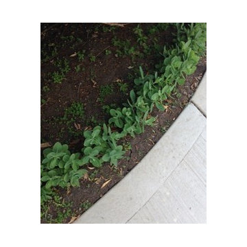 Garden Design