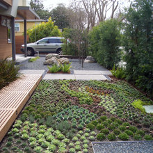 Succulent gardens