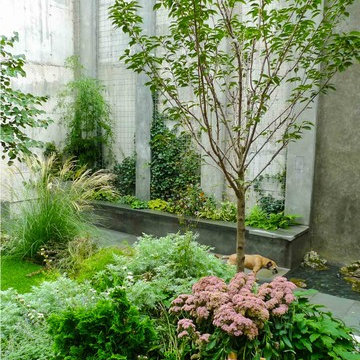 Modern Brooklyn Garden