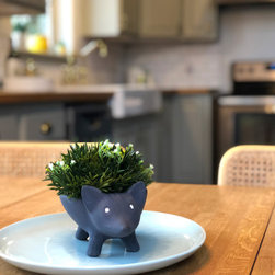 Fairplay - Artificial Plants And Trees