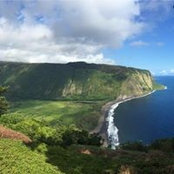 Thomas Brady's photo