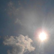 Diann Gordon's photo