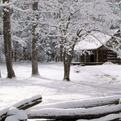 Puckett Renfro's photo