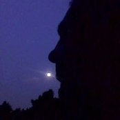 Nabil Afifi's photo