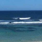 Nic Linde's photo
