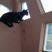 Susanne McQueen's photo