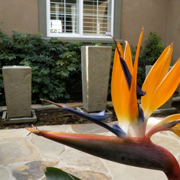 Landscape Designs