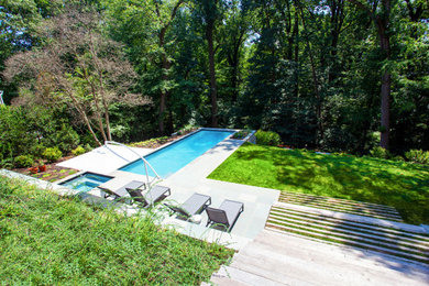 Inspiration for a transitional pool remodel in DC Metro