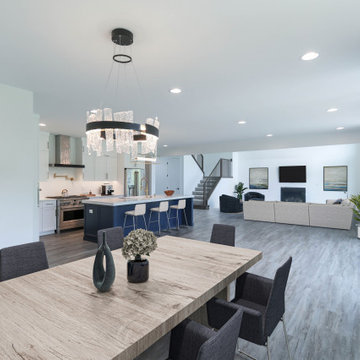 Ultra Modern Amelia III | Hartmann Woods Naperville, IL