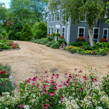 Garden ideas and Landscaping
