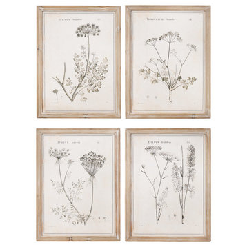 Set of 4 Vintage Wall Art, Natural Framed Design With Unique Botanical Prints