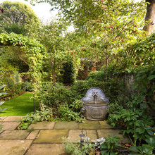 Water Feature