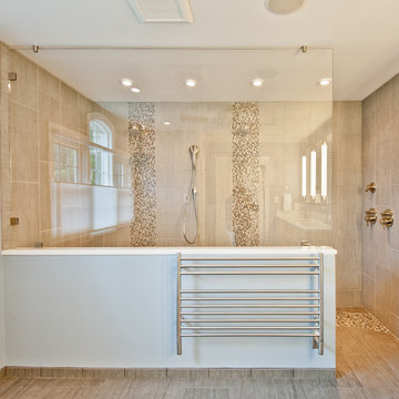 Contemporary Master Bath in Oak Hill, VA