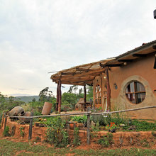 Beth's garden