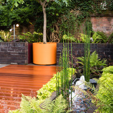 Fionas back garden