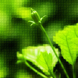 Fine Art Photography - Digital paintings - Products