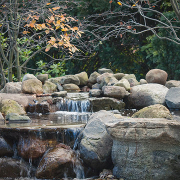 Backyard Pond Design