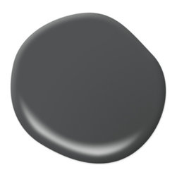 Carbon Copy PPU25-01 - Paint