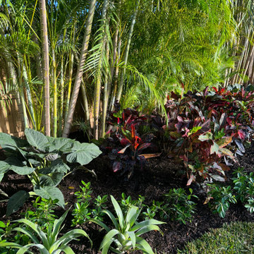 Miami Shores Landscape Design