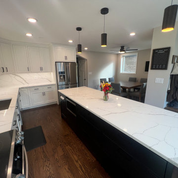 Chicago Kitchen/Dining Renovation