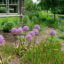 picking garden