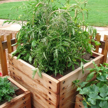Side yard patio and veggie boxes design