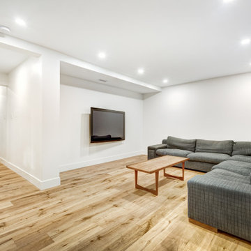 Basement Living Room