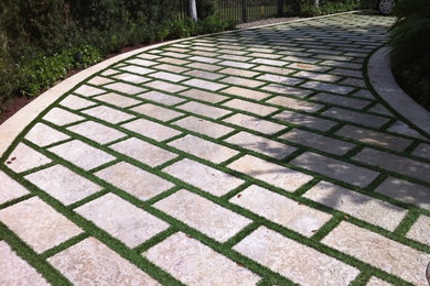Photo of a mediterranean landscaping in Miami.