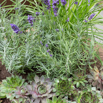 Groundwork Design - Lincoln Park Home