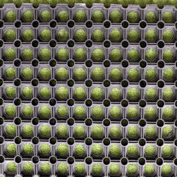 Rubber Mats - Products