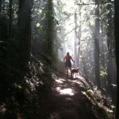 Foto von Brett Allen