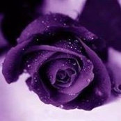 Linda Marsteller's photo