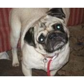 Rick Richter's photo