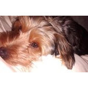 Kaelynn Nelson's photo