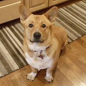 Brenda Stewart's photo