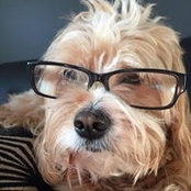 Matt Boulton's photo