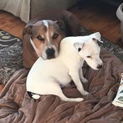 Jennifer Schickel's photo