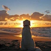 Linda Liebal Morgan's photo