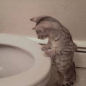 Susan Ake's photo