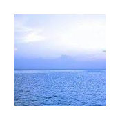 Giulia A's photo